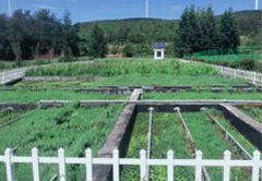 万象城(中国)